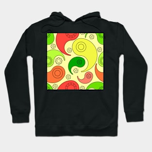 Paisley Principle 3 Hoodie